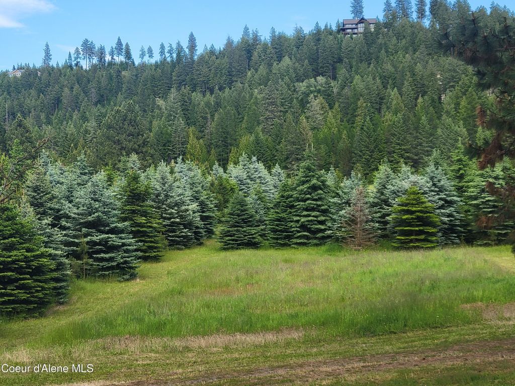 6337 McCall St., Bonners Ferry, ID 83805 photo 15