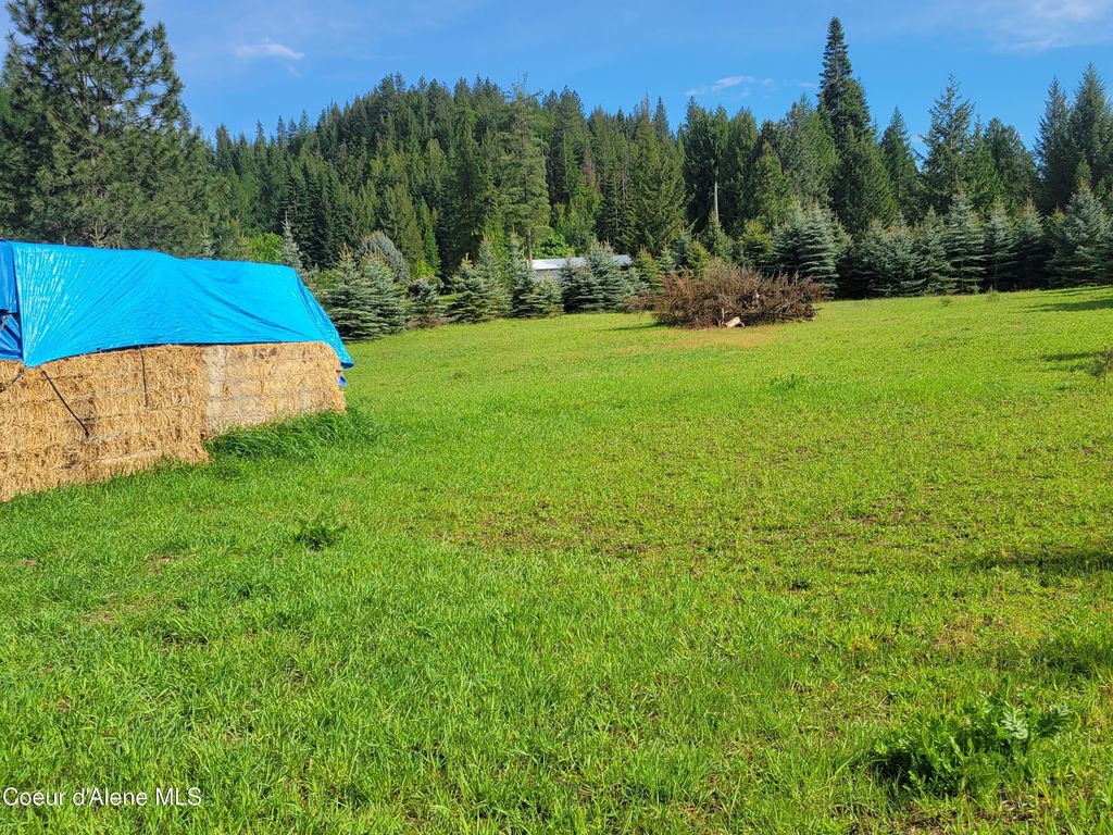 6337 McCall St., Bonners Ferry, ID 83805 photo 16