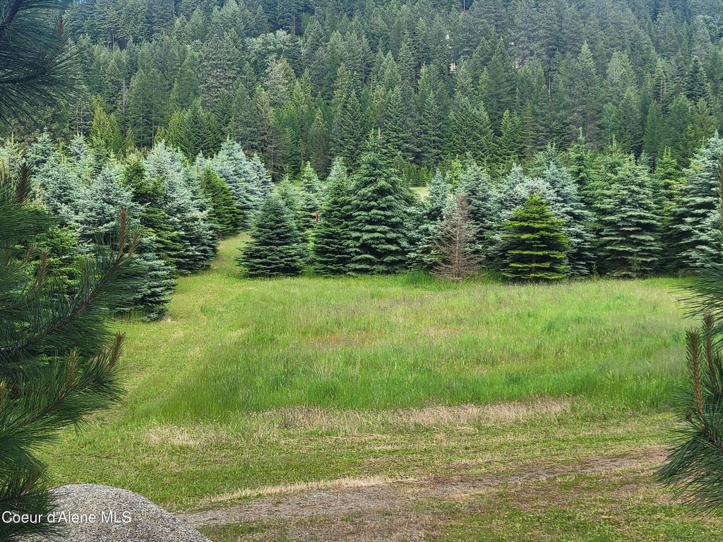 6337 McCall St., Bonners Ferry, ID 83805 photo 7