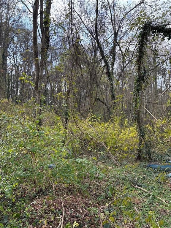 3231 Jonesboro SE Road, Atlanta, GA 30354