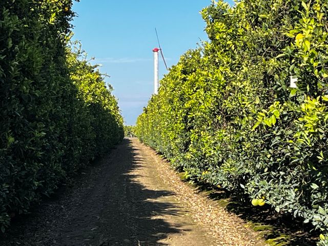 124 Road, Woodlake, CA 93286