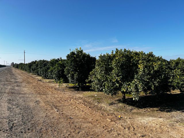 124 Road, Woodlake, CA 93286