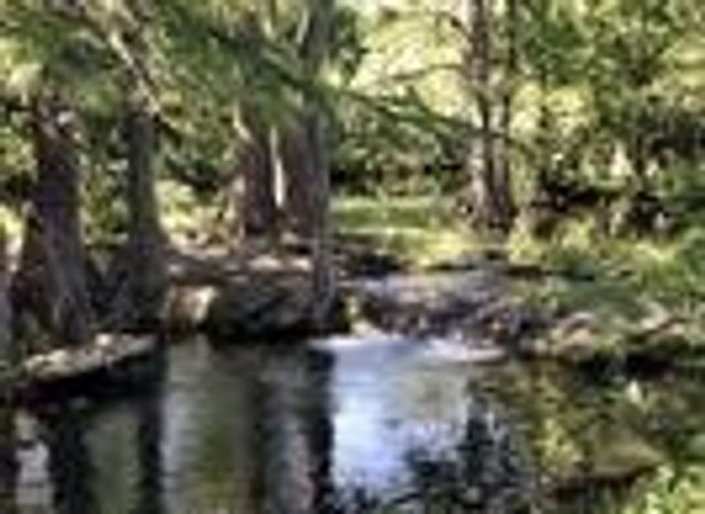 190 North Contour Dr, Spring Branch, TX 78070