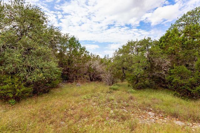 1455 Happy Hollow Drive, New Braunfels, TX 78132