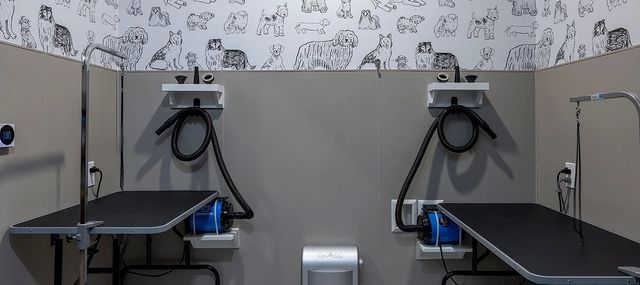 930 Ridgeview Drive 1273, Allen, TX 75013