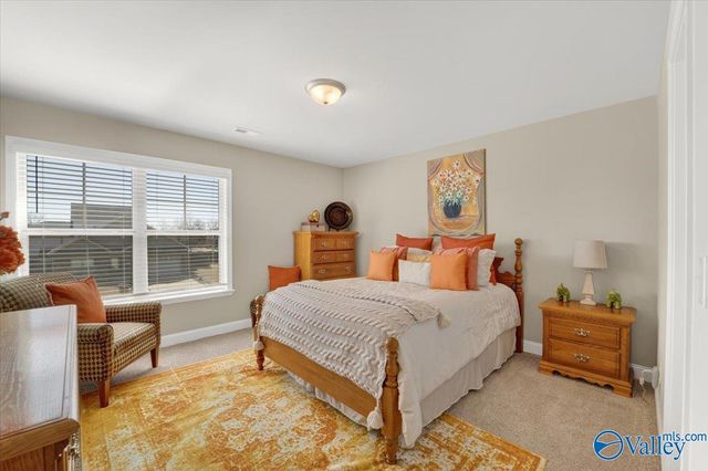 8790 Segers Trail Loop, Madison, AL 35676