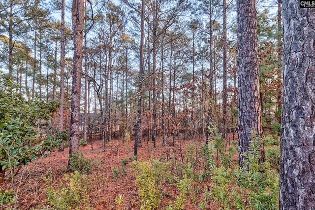 13 Stone Pine Court, Columbia, SC 29229