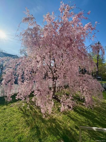 1 Dale Street, Rye, NY 10580