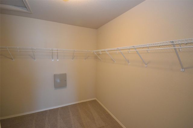 409 Riverine WAY, Cedar Park, TX 78613