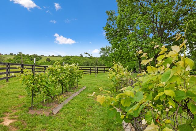 495 Shadrick Ferry Road, Frankfort, KY 40601