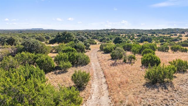 386 Appaloosa RUN, Johnson City, TX 78663