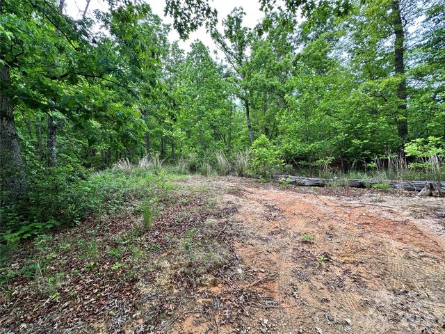 99999 Bird Creek Estates Road, Black Mountain, NC 28711