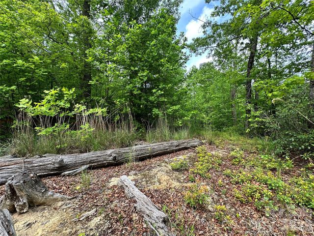 99999 Bird Creek Estates Road, Black Mountain, NC 28711