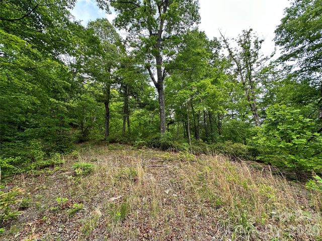 99999 Bird Creek Estates Road, Black Mountain, NC 28711