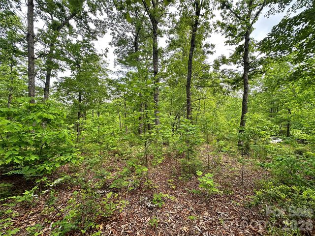 99999 Bird Creek Estates Road, Black Mountain, NC 28711