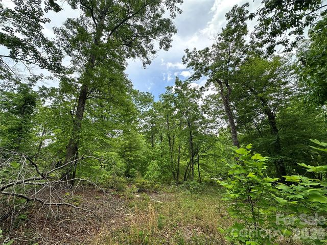 99999 Bird Creek Estates Road, Black Mountain, NC 28711