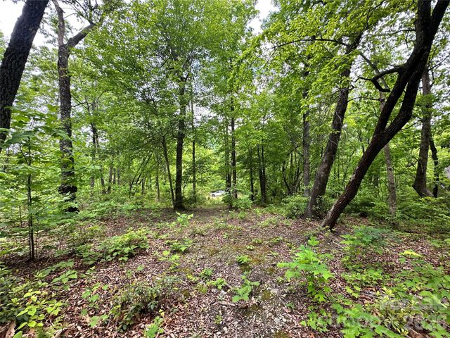 99999 Bird Creek Estates Road, Black Mountain, NC 28711