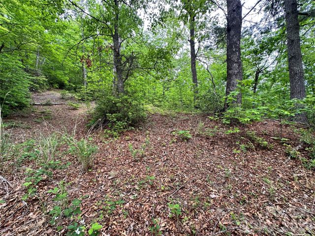 99999 Bird Creek Estates Road, Black Mountain, NC 28711