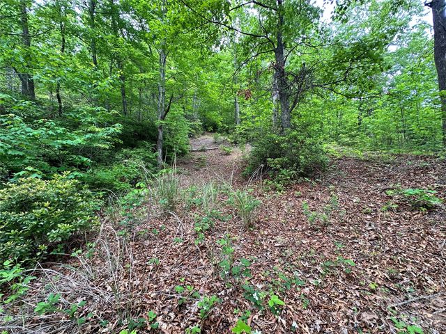 99999 Bird Creek Estates Road, Black Mountain, NC 28711