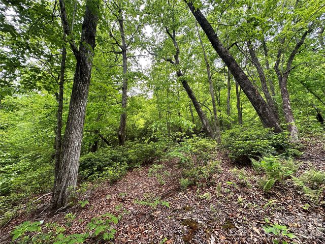 99999 Bird Creek Estates Road, Black Mountain, NC 28711
