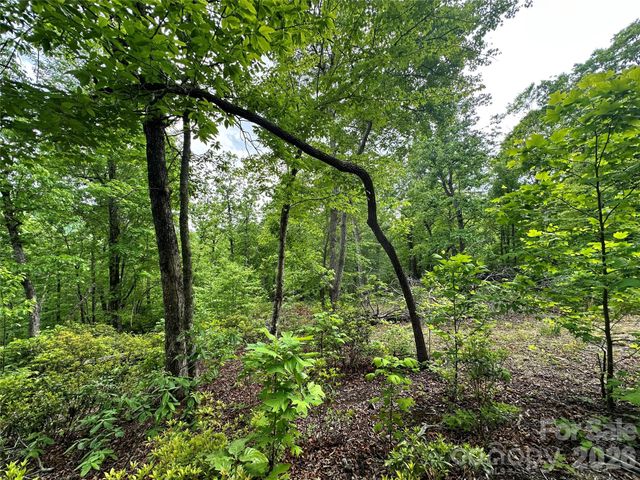 99999 Bird Creek Estates Road, Black Mountain, NC 28711