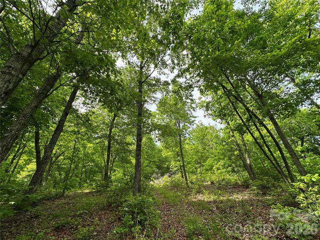 99999 Bird Creek Estates Road, Black Mountain, NC 28711