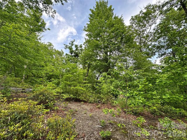 99999 Bird Creek Estates Road, Black Mountain, NC 28711
