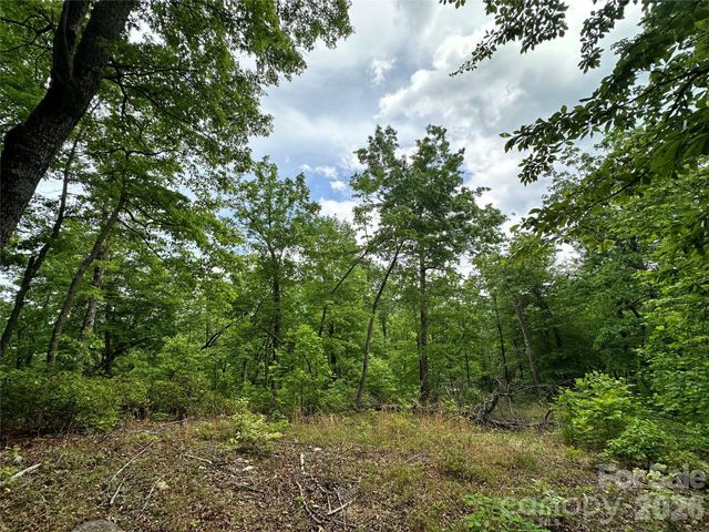 99999 Bird Creek Estates Road, Black Mountain, NC 28711