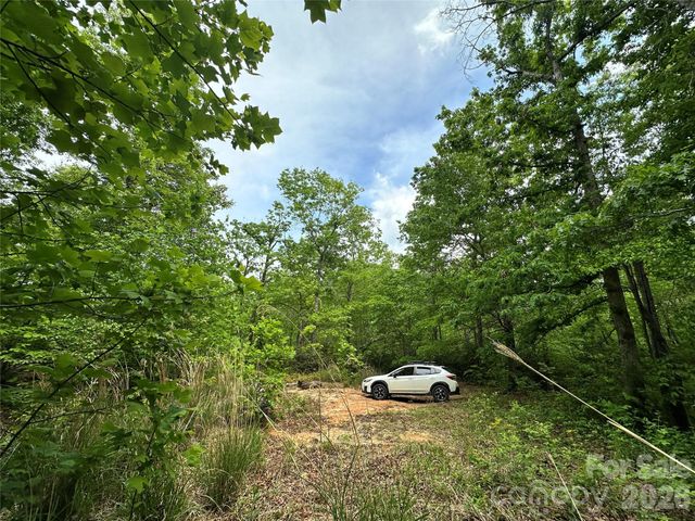 99999 Bird Creek Estates Road, Black Mountain, NC 28711