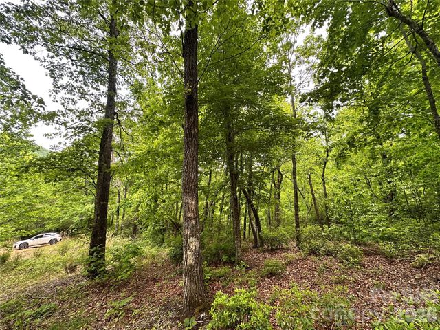 99999 Bird Creek Estates Road, Black Mountain, NC 28711