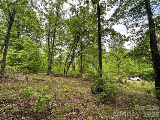 99999 Bird Creek Estates Road, Black Mountain, NC 28711