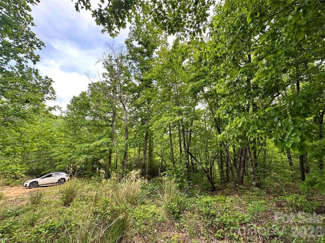 99999 Bird Creek Estates Road, Black Mountain, NC 28711