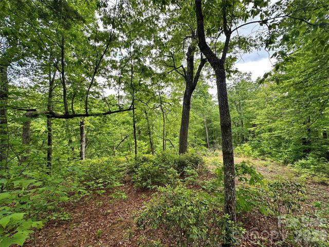 99999 Bird Creek Estates Road, Black Mountain, NC 28711