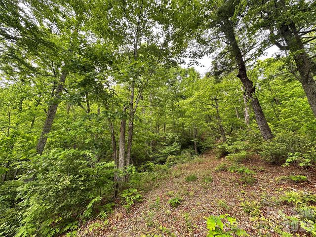 99999 Bird Creek Estates Road, Black Mountain, NC 28711