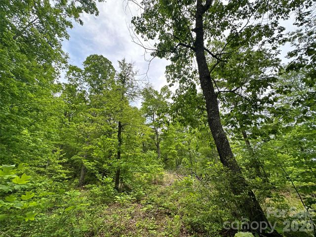 99999 Bird Creek Estates Road, Black Mountain, NC 28711