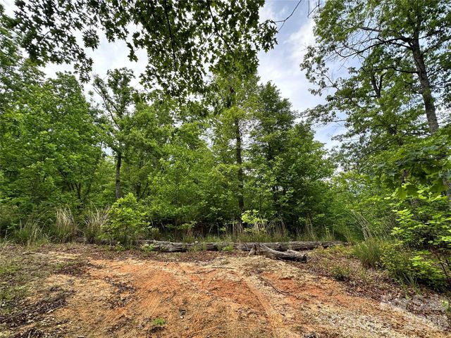 99999 Bird Creek Estates Road, Black Mountain, NC 28711