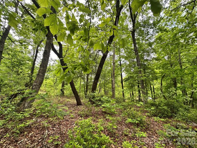 99999 Bird Creek Estates Road, Black Mountain, NC 28711