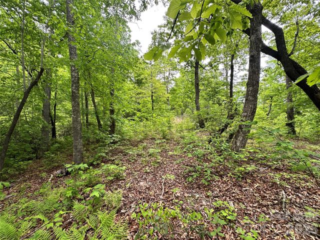 99999 Bird Creek Estates Road, Black Mountain, NC 28711