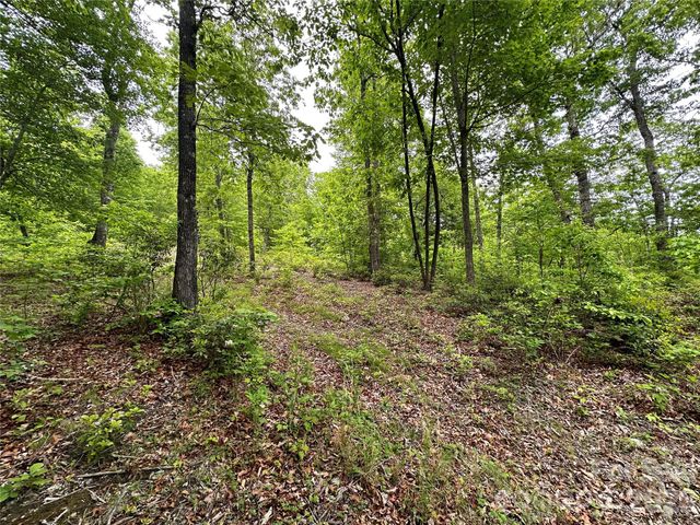 99999 Bird Creek Estates Road, Black Mountain, NC 28711