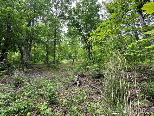 99999 Bird Creek Estates Road, Black Mountain, NC 28711