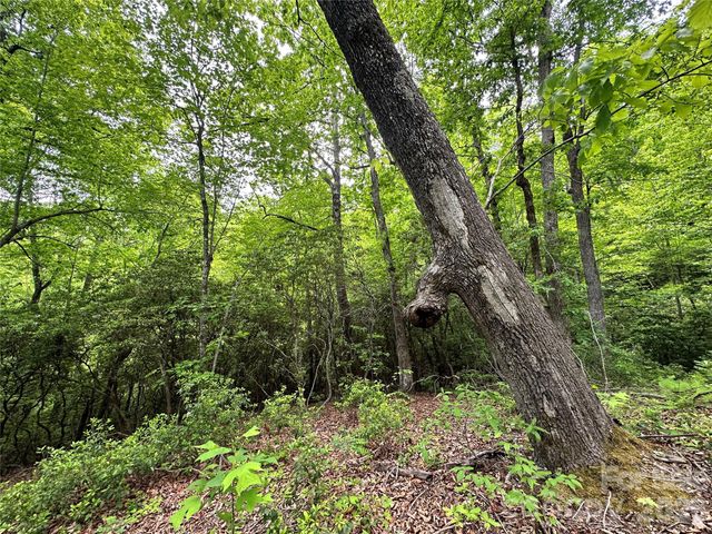 99999 Bird Creek Estates Road, Black Mountain, NC 28711