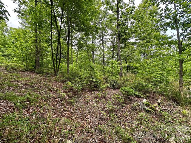 99999 Bird Creek Estates Road, Black Mountain, NC 28711