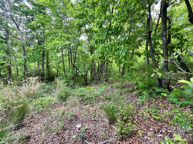 99999 Bird Creek Estates Road, Black Mountain, NC 28711
