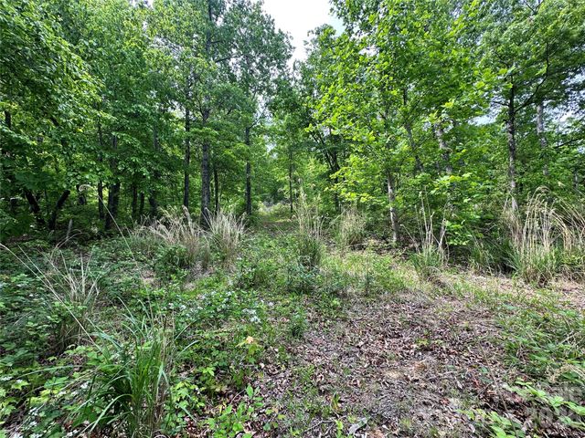 99999 Bird Creek Estates Road, Black Mountain, NC 28711