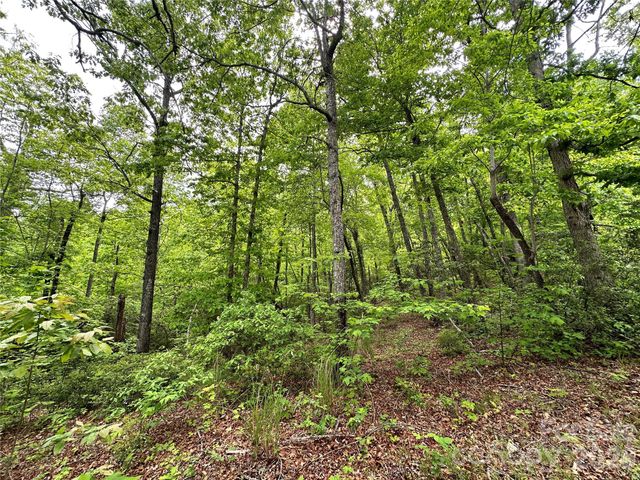 99999 Bird Creek Estates Road, Black Mountain, NC 28711