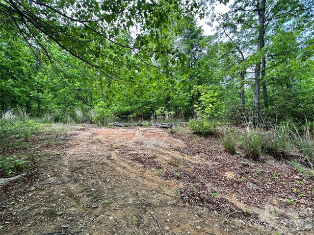 99999 Bird Creek Estates Road, Black Mountain, NC 28711