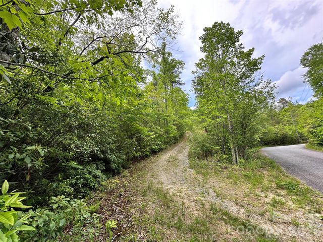 99999 Bird Creek Estates Road, Black Mountain, NC 28711