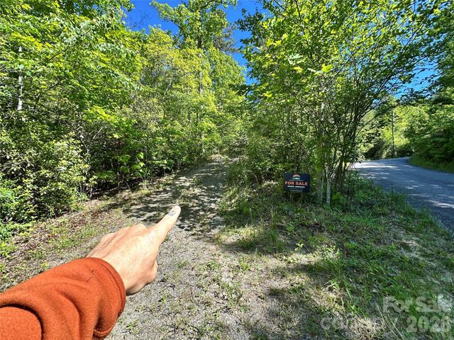 99999 Bird Creek Estates Road, Black Mountain, NC 28711