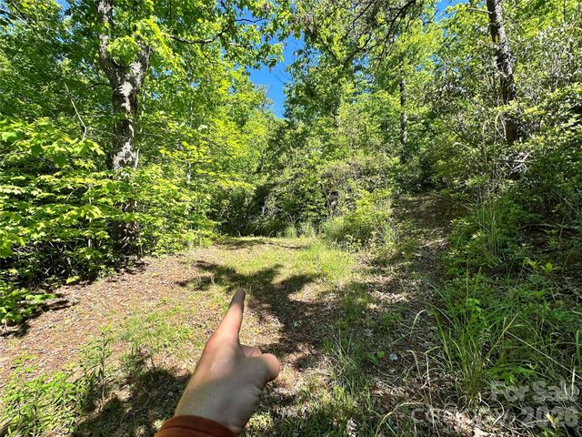 99999 Bird Creek Estates Road, Black Mountain, NC 28711