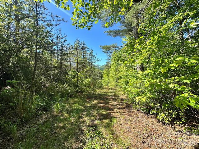 99999 Bird Creek Estates Road, Black Mountain, NC 28711